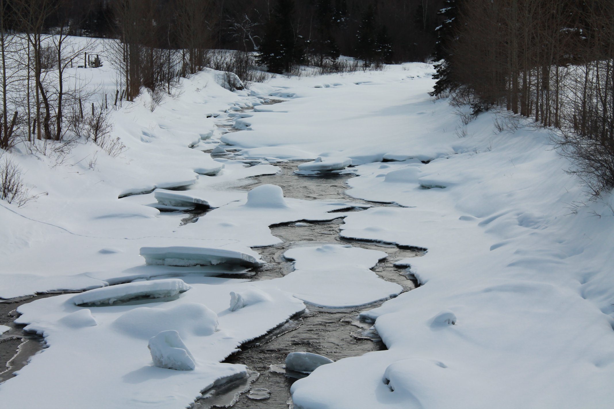 Paysage de rivière enneigée