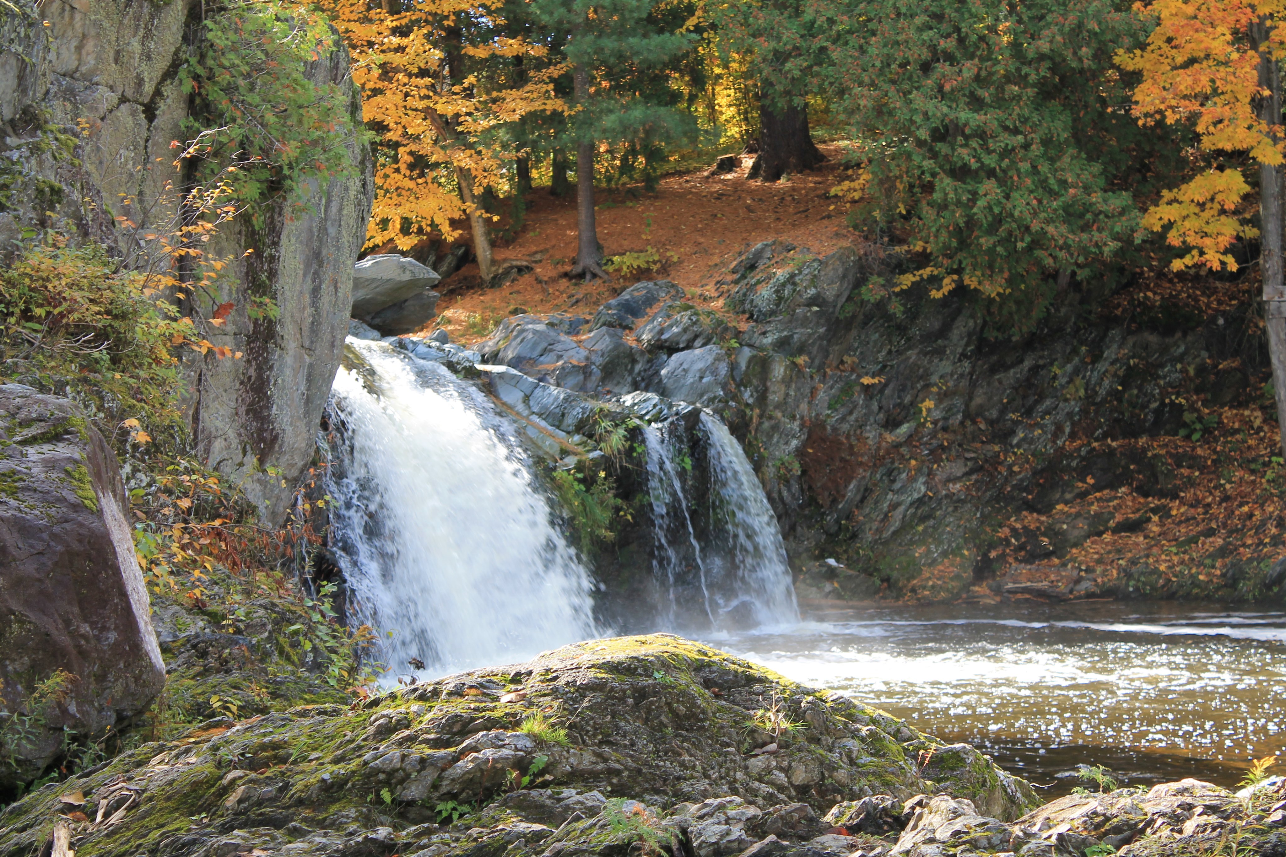 Paysage de rivière en automne